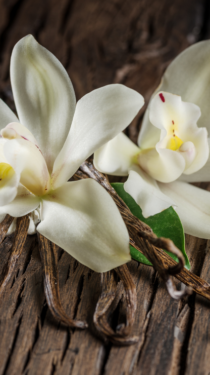 Vanilla Whipped Body Butter
